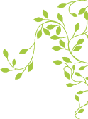 vine